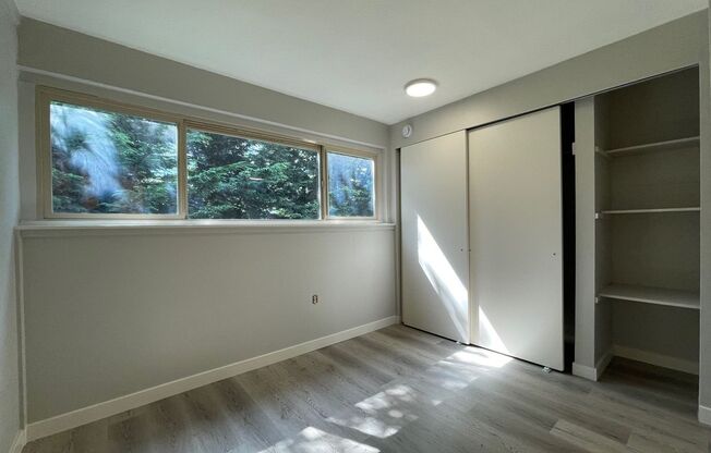 1 bed, 1 bath, 350 sqft, $1,195, Unit 309