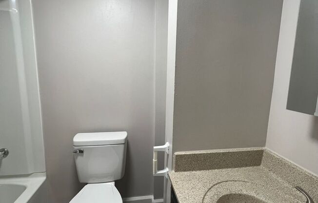 2 beds, 2 baths, 720 sqft, $1,150, Unit 303
