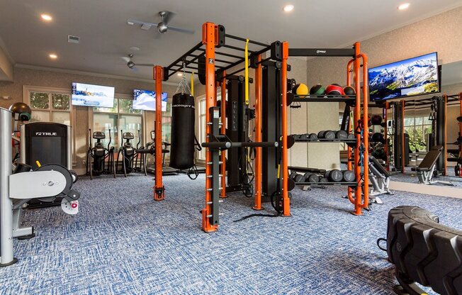 Fitness Center Equipment - Weights