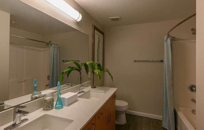 A bathroom with a white countertop and a white sink.