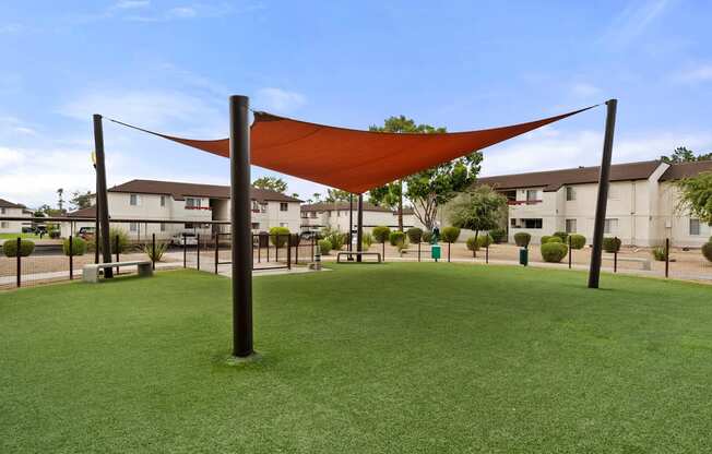 Dog Park, Park, Pets, Dogs