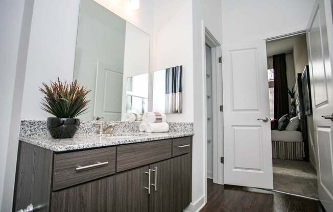 A bathroom with a large mirror and a plant on the counter.