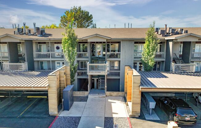 Welcome to The Shenandoah!