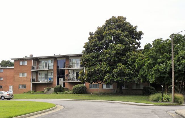 1 bed, 1 bath, 500 sqft, $999