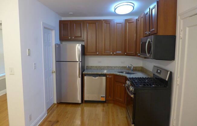 Studio, 1 bath, 300 sqft, $1,395, Unit 108