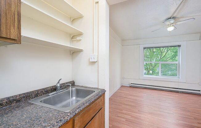 Studio, 1 bath, 334 sqft, $1,095, Unit 207