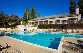 *Spacious 1 Bedroom in La Jolla!*