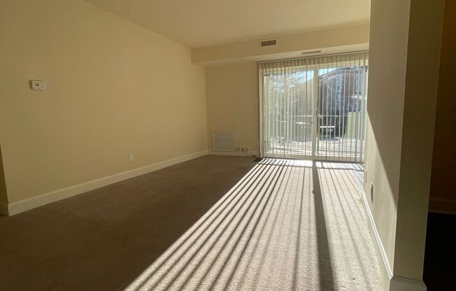3 beds, 2 baths, 1,152 sqft, $2,350, Unit 14201 #204