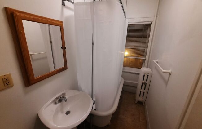 Studio, 1 bath, 211 sqft, $750, Unit 211