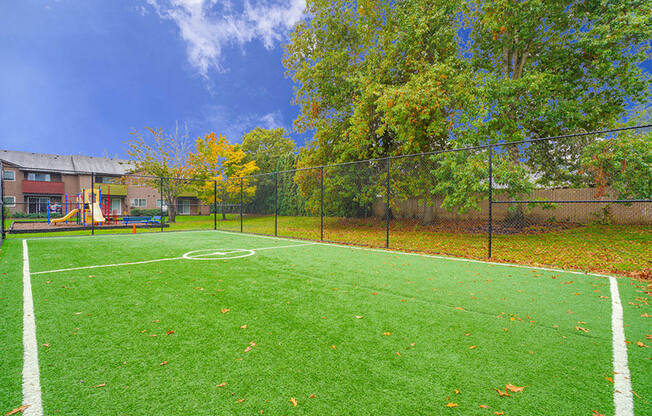 Soccer Field