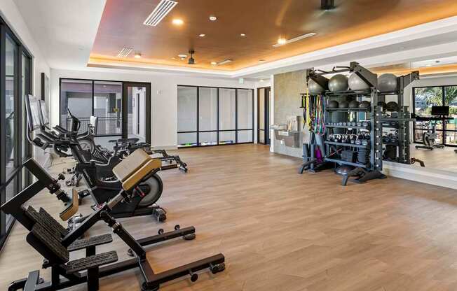 A spacious gym with a variety of equipment including treadmills, stationary bikes, and weight machines.