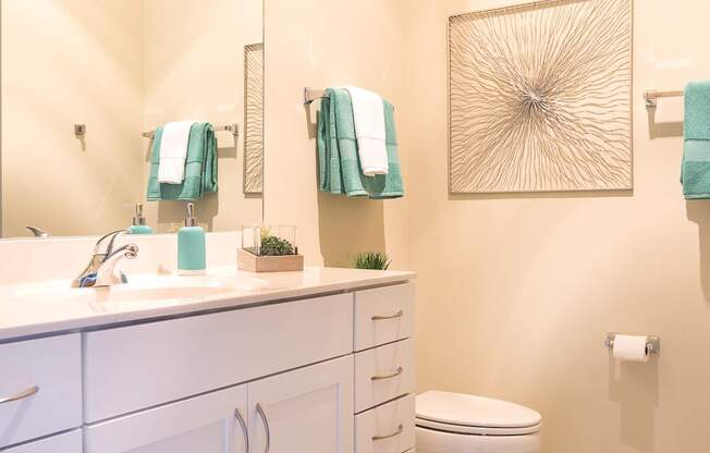 Bathroom With Adequate Storage at Grand Wisconsin, Wisconsin , 53203