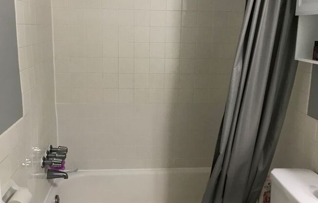 1 bed, 1 bath, 550 sqft, $1,195, Unit 411
