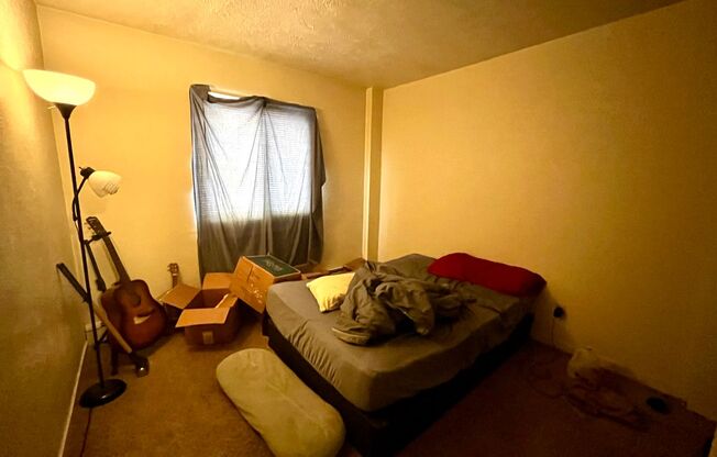 1 bed, 1 bath, $850, Unit 313