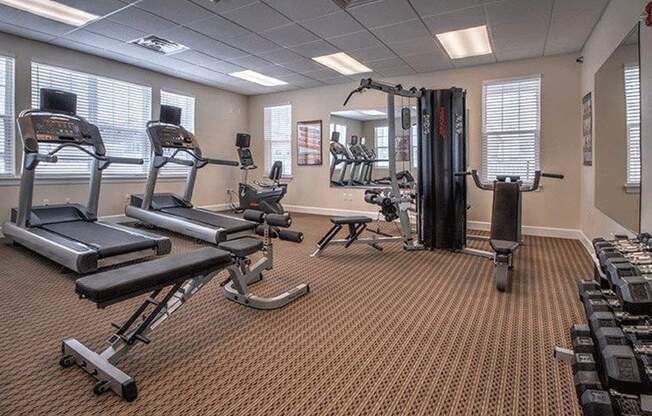 Fitness Center with Cardio Equipment and Free Weights at Townhomes at Pleasant Meadows, New York