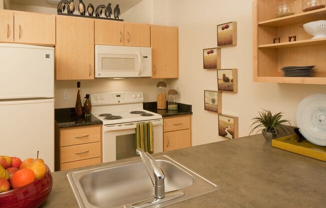 The Ramona Unit Kitchen