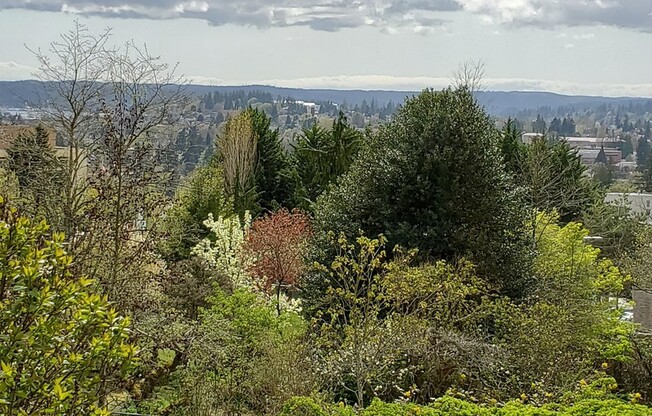 Lovely East Bremerton Property with a VIEW!!