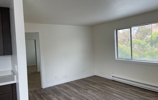 1 bed, 1 bath, 560 sqft, $1,450, Unit 1