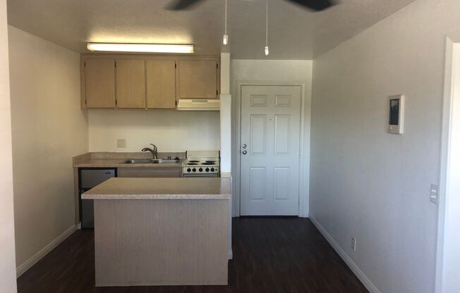 Studio, 1 bath, 350 sqft, $1,495, Unit 303