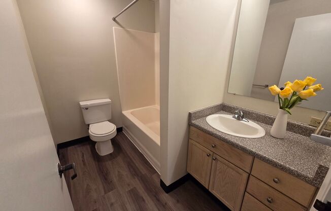 Studio, 1 bath, 395 sqft, $1,180, Unit 501