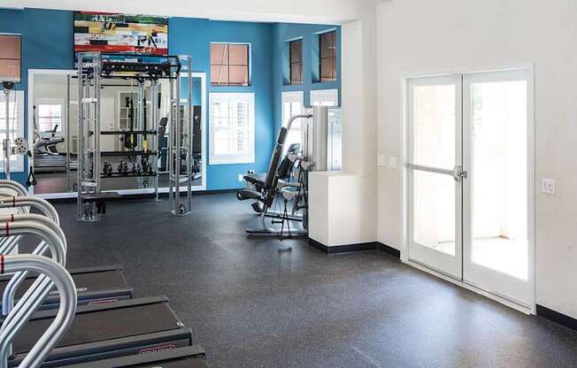 A gym with treadmills, weights and exercise equipment.