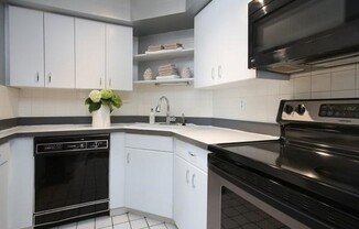2 beds, 2 baths, 1,115 sqft, $4,200, Unit 211