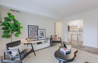1 bed, 1 bath, 450 sqft, $1,245, Unit 2512-0433