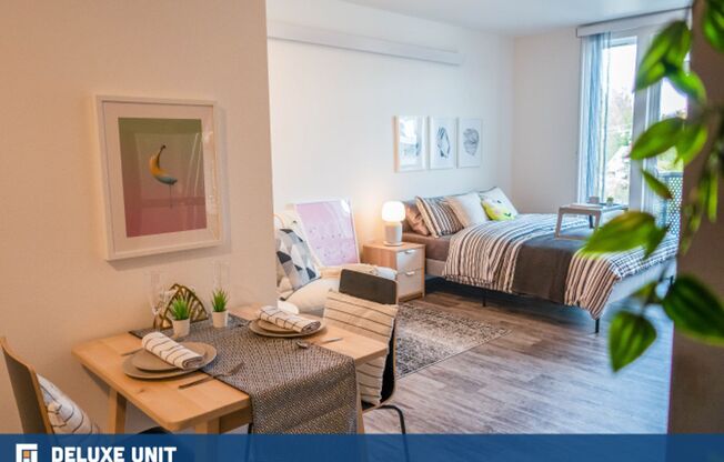 Studio, 1 bath, 390 sqft, $1,949, Unit 312