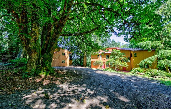 Private 3 Bedroom Home in the Woods
