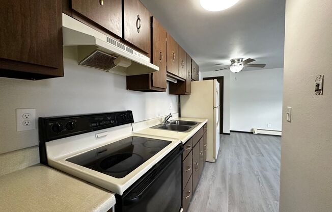 1 bed, 1 bath, 420 sqft, $795, Unit Apt. 2