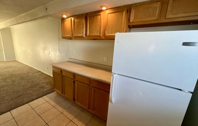 Studio Apartment in Denver - Ground Level - Move-In Special