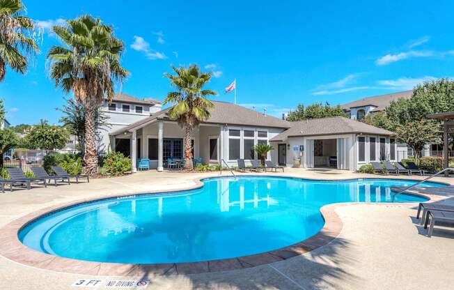 A large swimming pool surrounded by palm trees and lounge chairs.