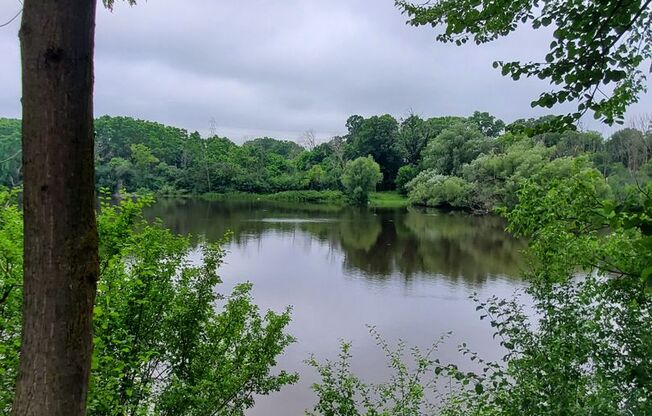 2 beds, 1 bath, 856 sqft, $1,269, Unit PL   7605