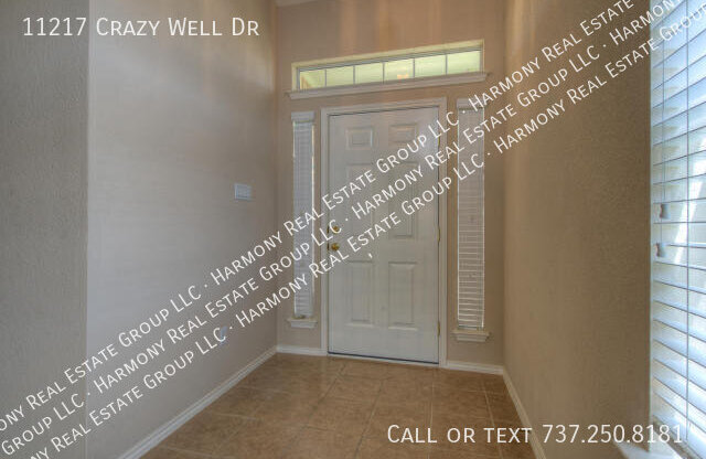 11217 CRAZY WELL DR