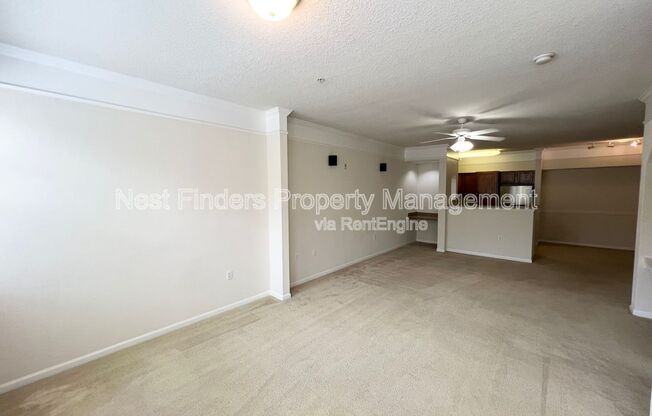 1 bed, 1 bath, 920 sqft, $1,350, Unit 1125