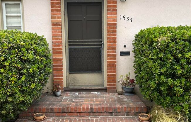 1537 Pearl Street
