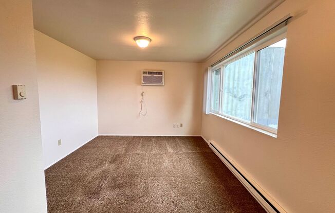 1 bed, 1 bath, 483 sqft, $875, Unit 4