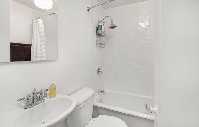 Studio, 1 bath, 380 sqft, $1,295, Unit 110