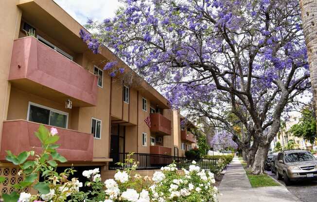 Beautiful flowers and trees