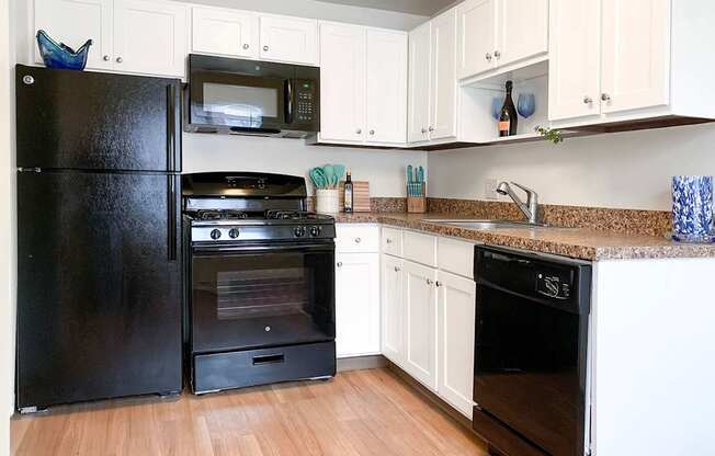 Fully-equipped kitchens