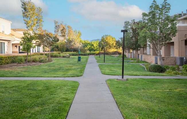 A walkway in a park with grass on either side.