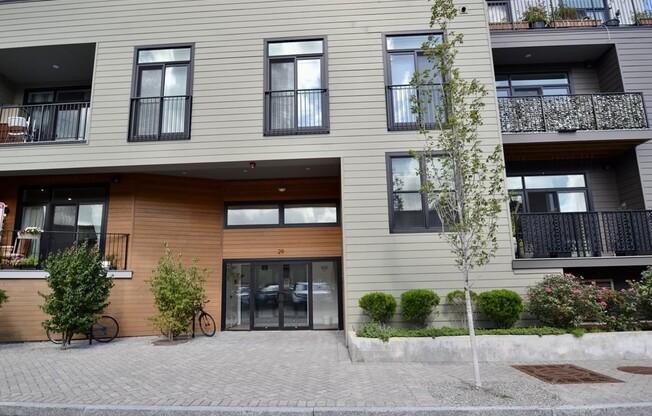 29 WOODBINE ST