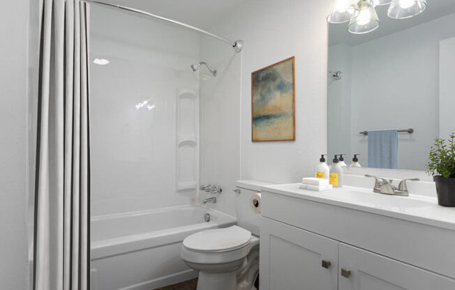 a white bathroom with a shower toilet and sink