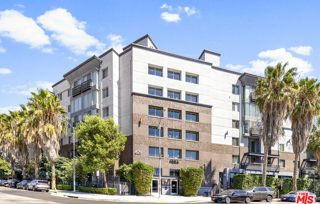 1 bed, 1 bath, 980 sqft, $2,900, Unit 314