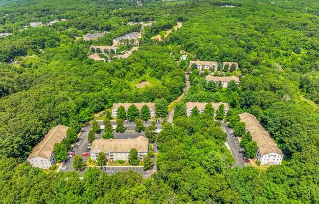 a birds eye view of a neighborhood with houses and trees