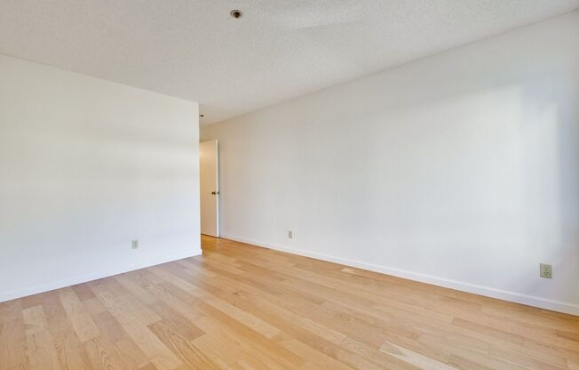 1 bed, 1 bath, $3,250, Unit #221