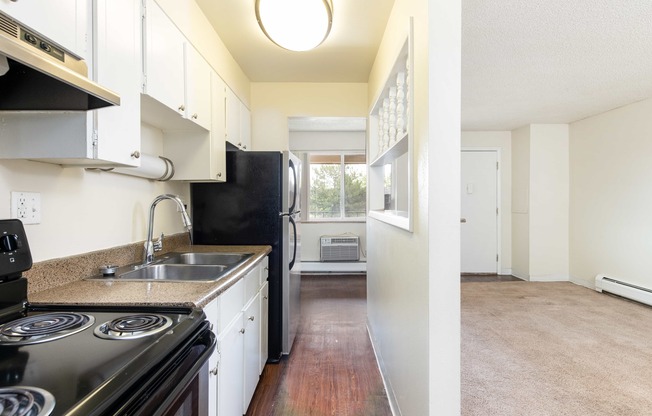 a kitchen with a stove and a sink and a refrigerator