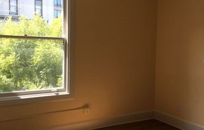 Studio, 1 bath, 300 sqft, $1,100, Unit 206