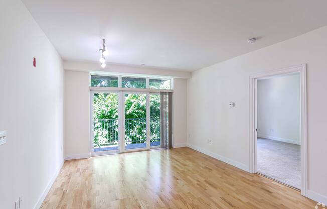 A room with wooden floors and large windows at 7 Cameron Apartments, Cambridge, MA, 02140