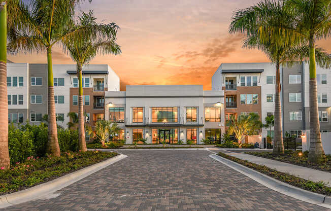 A modern building with a driveway and palm trees in front.